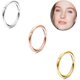 thumbnail image 3 of 3pcs 18g Hinged Clicker Nose Rings Hoop Surgical Steel Helix Cartilage Daith Tragus Sleeper Earrings Body Piercing Improved, 3 of 4