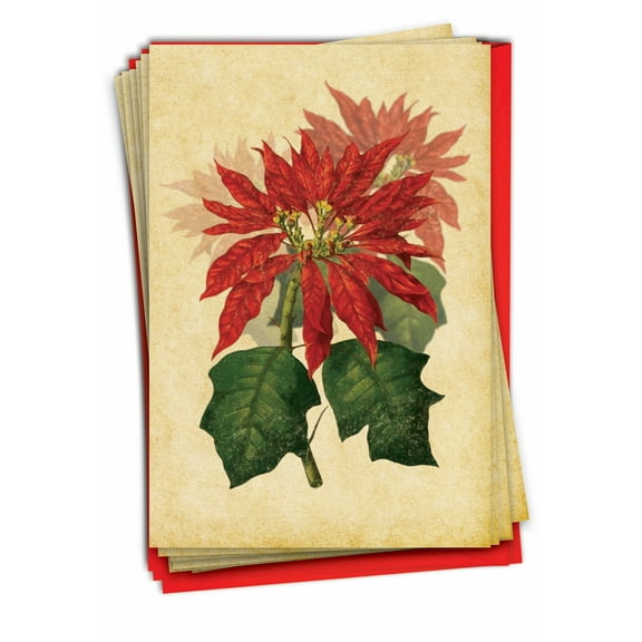 12 Merry Christmas Cards Pack (1 Design, 12 Cards) - Poinsettia Season