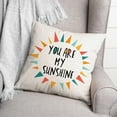 thumbnail image 3 of Creative Products You Are My Sunshine Bright Tones Design 16 x 16 Spun Poly Pillow, 3 of 3