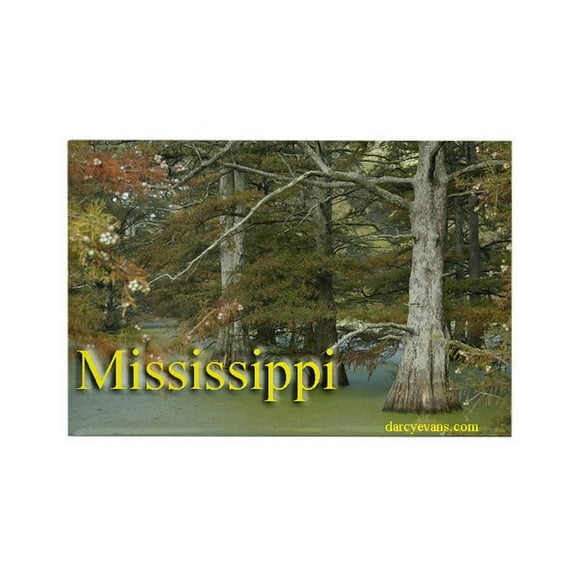 CafePress - Mighty Cyprus - Rectangle Magnet, 2"x3" Refrigerator Magnet