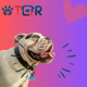 thumbnail image 2 of TQR BY FAKIRGEEK Placa DE IDENTIFICACIÓN Inteligente para Mascotas QR para Perro Gato- Bulldog Ingles Etiqueta DE IDENTIFICACIÓN Accesorios Dije para Collar DE MASCOTA (Dorado, Blanco), 2 of 9