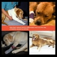 thumbnail image 4 of Caja protectora para perros con férula para fracturas de mascotas, restauración ortopédica, vendaje articular, Protector de pierna delantera y trasera TUNC Sencillez, 4 of 5