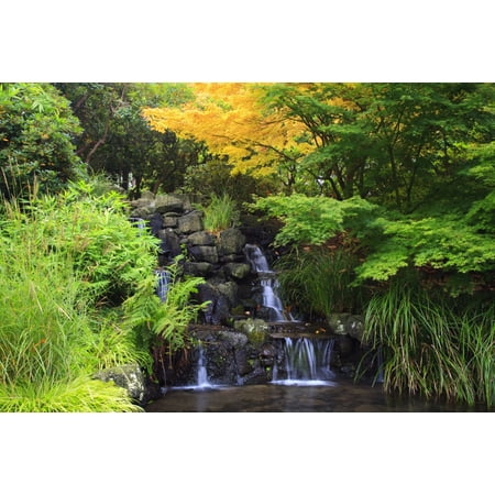 Portland Oregon United States Of America Waterfalls In Crystal Springs Rhododendron Garden Canvas Art - Craig Tuttle  Design Pics (19 x