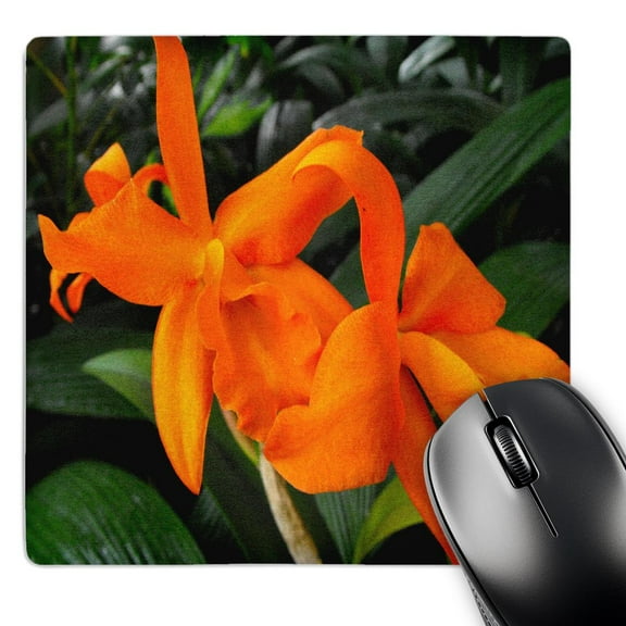 3dRose, Cattleya Orchid Orange Orchids, MousePad
