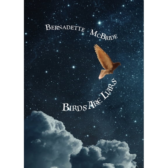 Birds Are Liars, (Paperback)