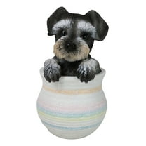 Adorable Grey Mini Schnauzer Puppy Dog Figurine With Glass Eyes Pup In Pot
