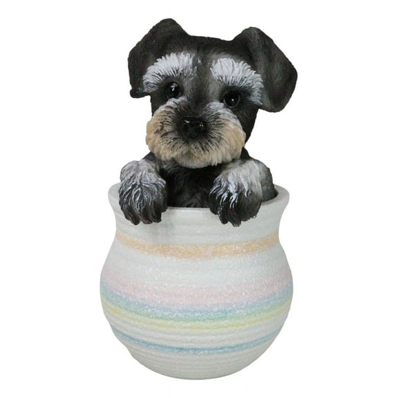 Adorable Grey Mini Schnauzer Puppy Dog Figurine With Glass Eyes Pup In Pot