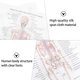 thumbnail image 4 of Estructura esquelética Anatomía Cartel Decorativo Anatomía Cartel Cartel creativo, 4 of 5