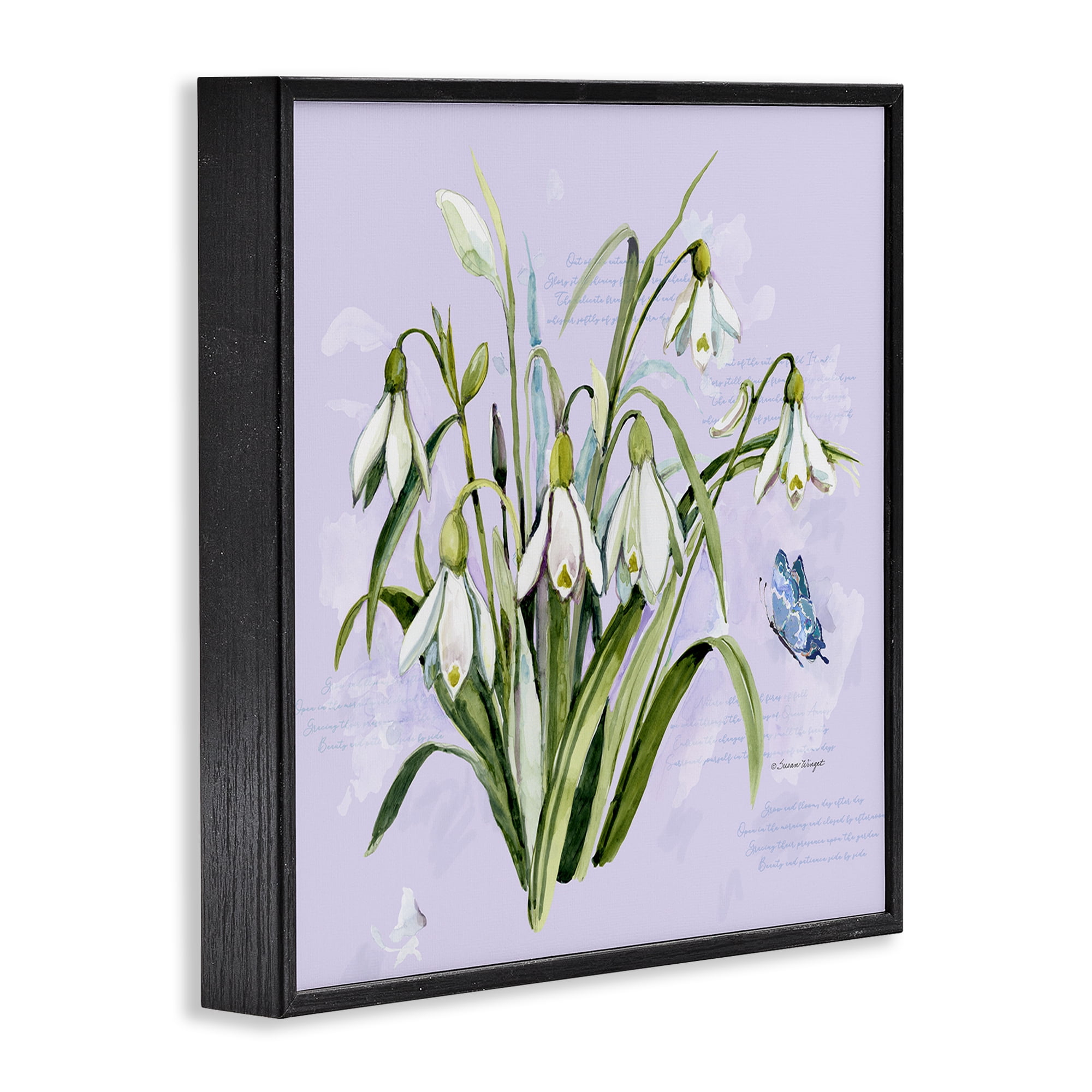Stupell Industries Snowdrops with Vintage Writings Black Framed Giclee Art, design by Susan Winget