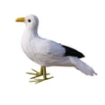 thumbnail image 1 of Estatuilla de pájaros de pie de gaviota artificial estatua de Animal para decoración Gaviota 1 Cola  Pájaro artificial, 1 of 4