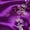 Dark Purple, variant on LYHaoo Girls Chinese Dress Qipao Baby Girls New Year Clothing Floral Short Sleeve Cheongsam Kids Birthday Party Outfits,Girls A Line Dresses Sizes 18-24 Months Purple