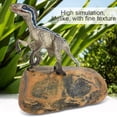 thumbnail image 4 of Fdit High Simulation Plastic Animal Dinosaur Toy Model Kids Children Gift Home Display Collection, Kids Toy, Plastic Dinosaur Toy, 4 of 8