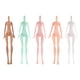 thumbnail image 1 of Cuerpo de Maniquí Sin Cabeza Yotijar 5 Piezas Articuladas Móviles, 1 of 10
