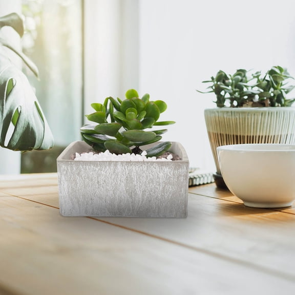 LOLIPPYY Natural White Aquarium Gravel for Fish Tanks with and Simple Maintenance