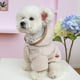 thumbnail image 4 of Winter Dog Cat Coat Winter Fleece Pet Clothes Hooded Coat Down Jacket Puppy Pet Clothing For Dogs Chihuahua Yorkie Pug Outfits ShopWise Round, 4 of 10