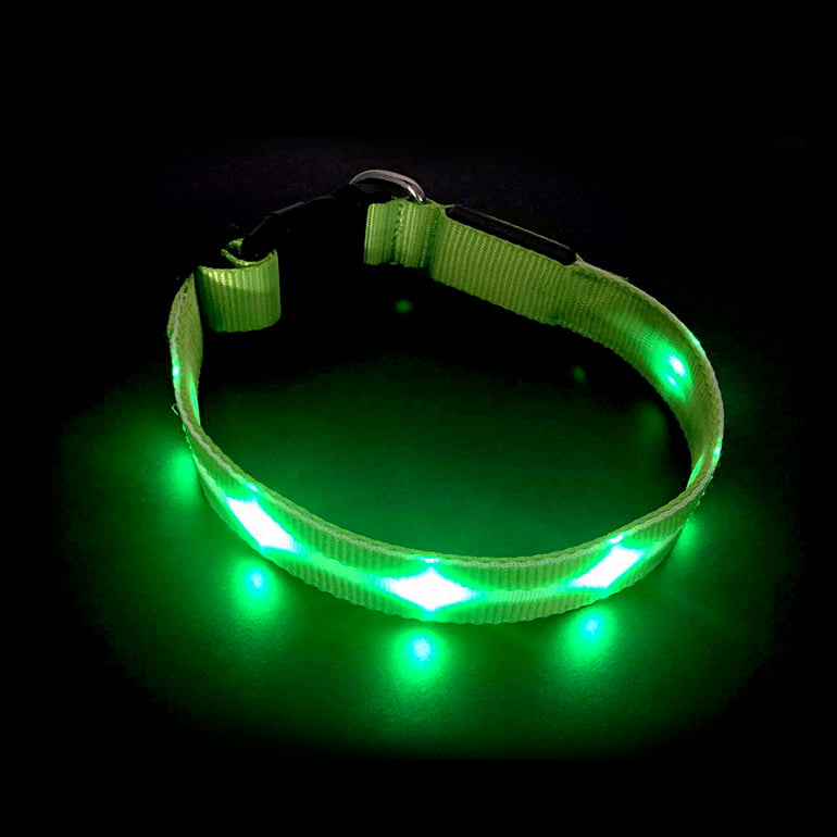 Green Profusion Circle USB Rechargeable LED Dog Collar Pet Night Safety Collar Waterproof Flashing Light Up Dog Collar