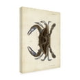 thumbnail image 2 of DeKay 'Vintage Crab II' Canvas Art, 2 of 2