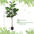 thumbnail image 3 of Artificial Rubber Tree, 5 ft Fake Plastic Ficus Plant, Pre Potted Faux Greenry Plants for Home Decor Office House Living Room Indoor Outdoor, House Decorations for Living Room, Big Fake Plants, 3 of 10