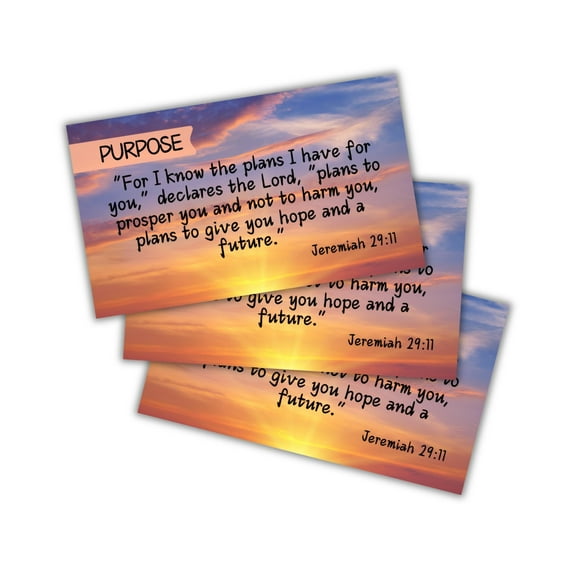 Jeremiah 29:11 Purpose Prayer Card 30 pk 2x3.5 Wallet Size For I Know The Plans I Have For You Christian Bible Verse Scripture Pocket