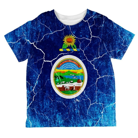Kansas Vintage Distressed State Flag All Over Toddler T Shirt Multi 6T