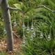 thumbnail image 2 of 10 piezas de decoraciones para árboles de Navidad colgante de gota de hielo de carámbano hecho de vidrio para colgar la decoración de Navidad Adepaton HR-0022, 2 of 7