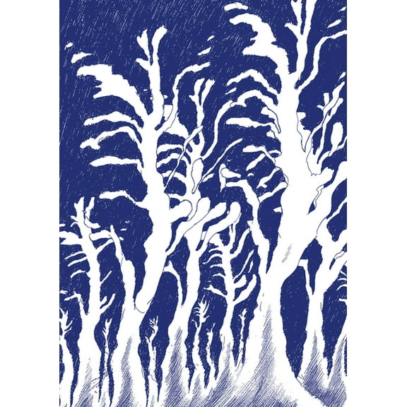 David Weiss: Die Wandlungen (Hardcover)