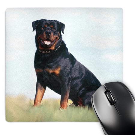 3dRose  Rottweiler  MousePad price history on PriceWatchPro