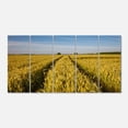 thumbnail image 2 of Rural Road through Wheat Field - Landscape Artwork Canvas, 2 of 3
