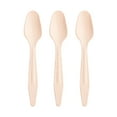 thumbnail image 2 of Smarty Natural Birch Wood Eco-Friendly Disposable Dinner Spoons 600ct, 2 of 7