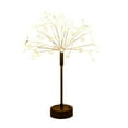 thumbnail image 1 of BotaniNest Lights Upgrade Led Lights For Party Indoor, 1 of 6