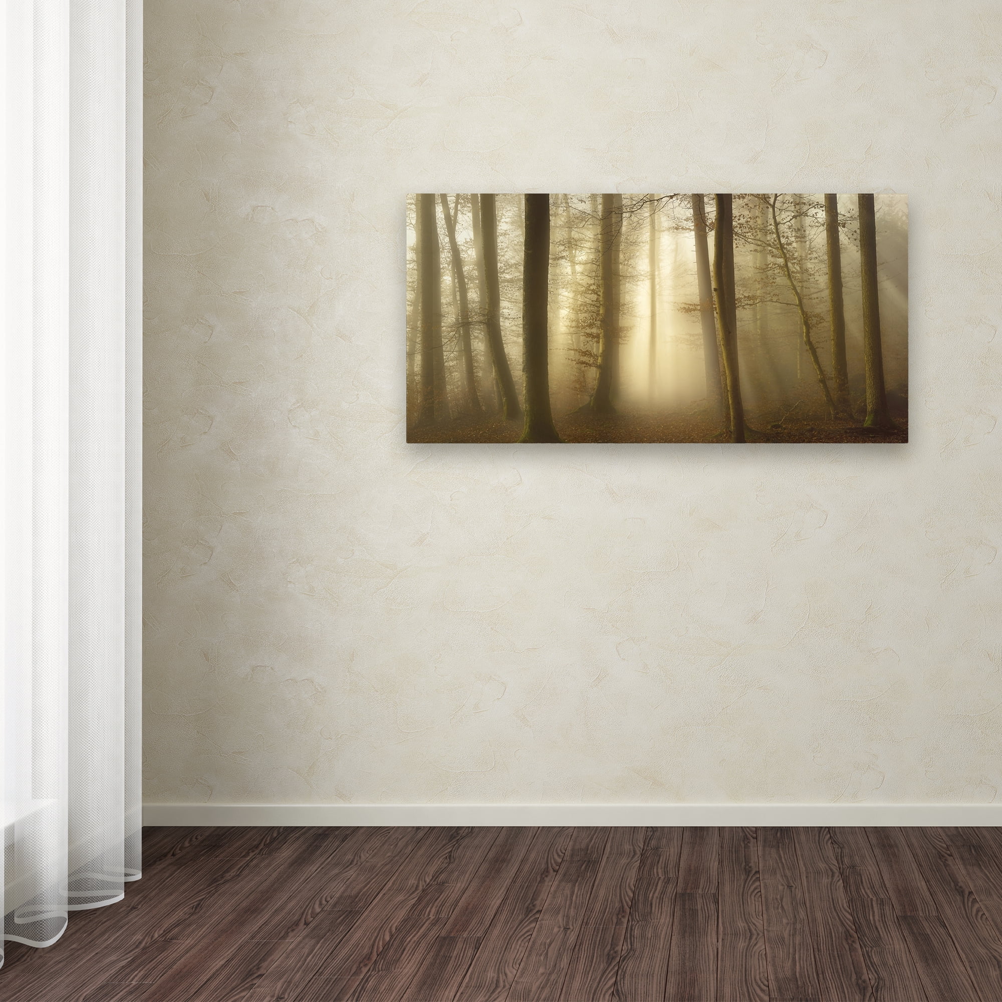 Trademark Fine Art 'Into The Trees' Canvas Art by Norbert Maier