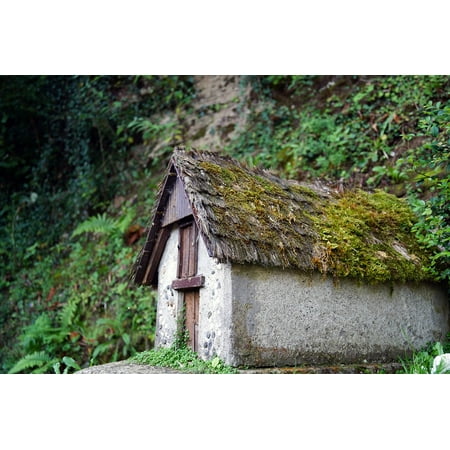 Moss Cottage - Canvas Print Farmhouse Cottage Model Moss Region Stretched Canvas 10 x 14