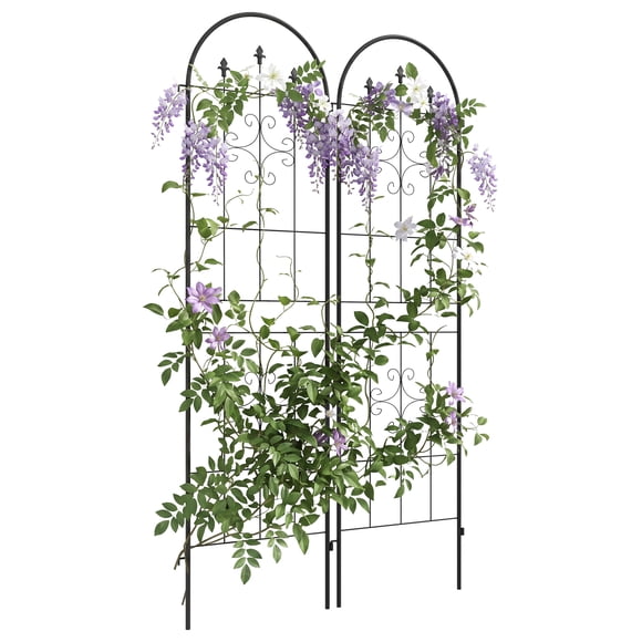 Set of 2 Garden Trellis Metal Trellis for Climbing Plants Flowers