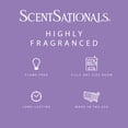 thumbnail image 3 of Sea Salt Lavender Scented Wax Melts, ScentSationals, 2.5 oz, 3 of 5