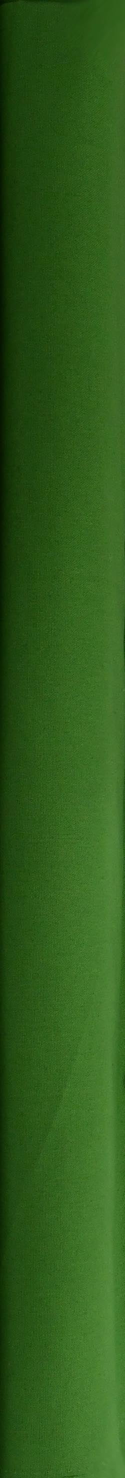 Waverly Inspirations 54" 100% Cotton Canvas Solid Print Sewing & Craft Fabric 8 yd By the Bolt, Olive