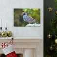 thumbnail image 5 of Majestic Quail Art Majestic Quail Print Animal Wall Art Wildlife Canvas Prints Wall Art Ready to Hang Unframed, 5 of 18