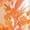 Orange, variant on Women's Vintage Floral Print Draped Neck Layered Ruffle Hem Maxi Dress, Vacation Summer Style