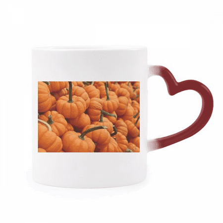 

Photograph Fresh Pumpkin Picture Nature Heat Sensitive Mug Red Color Changing Stoneware Cup