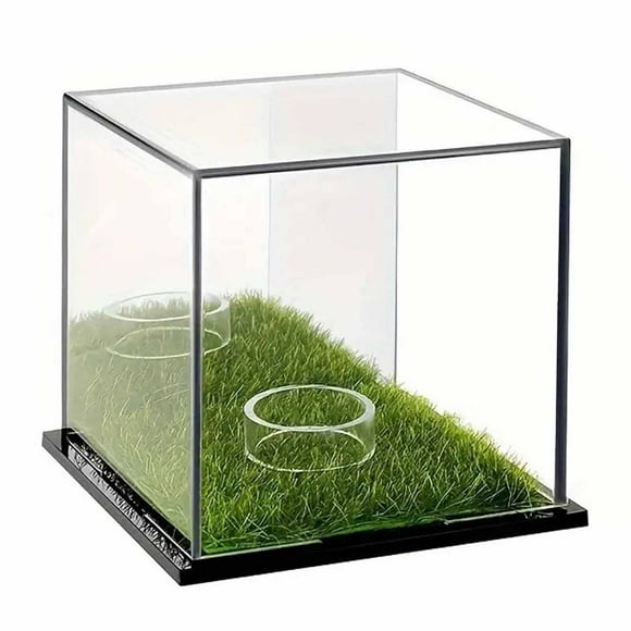 Naiovety Expositor de pelotas de golf de acrílico con base verde que muestra la pasión por el golf. Golf