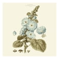 thumbnail image 2 of Miller, John 12x12 White Modern Wood Framed Museum Art Print Titled - Custom Bashful Blue Florals IV, 2 of 4