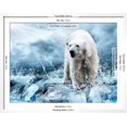 thumbnail image 3 of White Polar Bear Hunter On The Ice In Water Drops, Animals Scenic Seasons Framed Art Print Wall Art by yuran78 Sold by Art.Com, 3 of 3