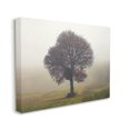 thumbnail image 3 of Stupell Industries Lone Tree Rural Grassland Photograph Gallery Wrapped Canvas Print Wall Art, Design by Igor Vitomirov, 3 of 7