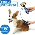 thumbnail image 4 of Pet Brush, 2-Side Pet Grooming Tools with Deshedding and Dematting Comb, 4 of 6