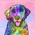 thumbnail image 2 of Great Art Now Colorful Pets IV by Duirwaigh, Framed Wall Art, 14W x 14H, 2 of 3