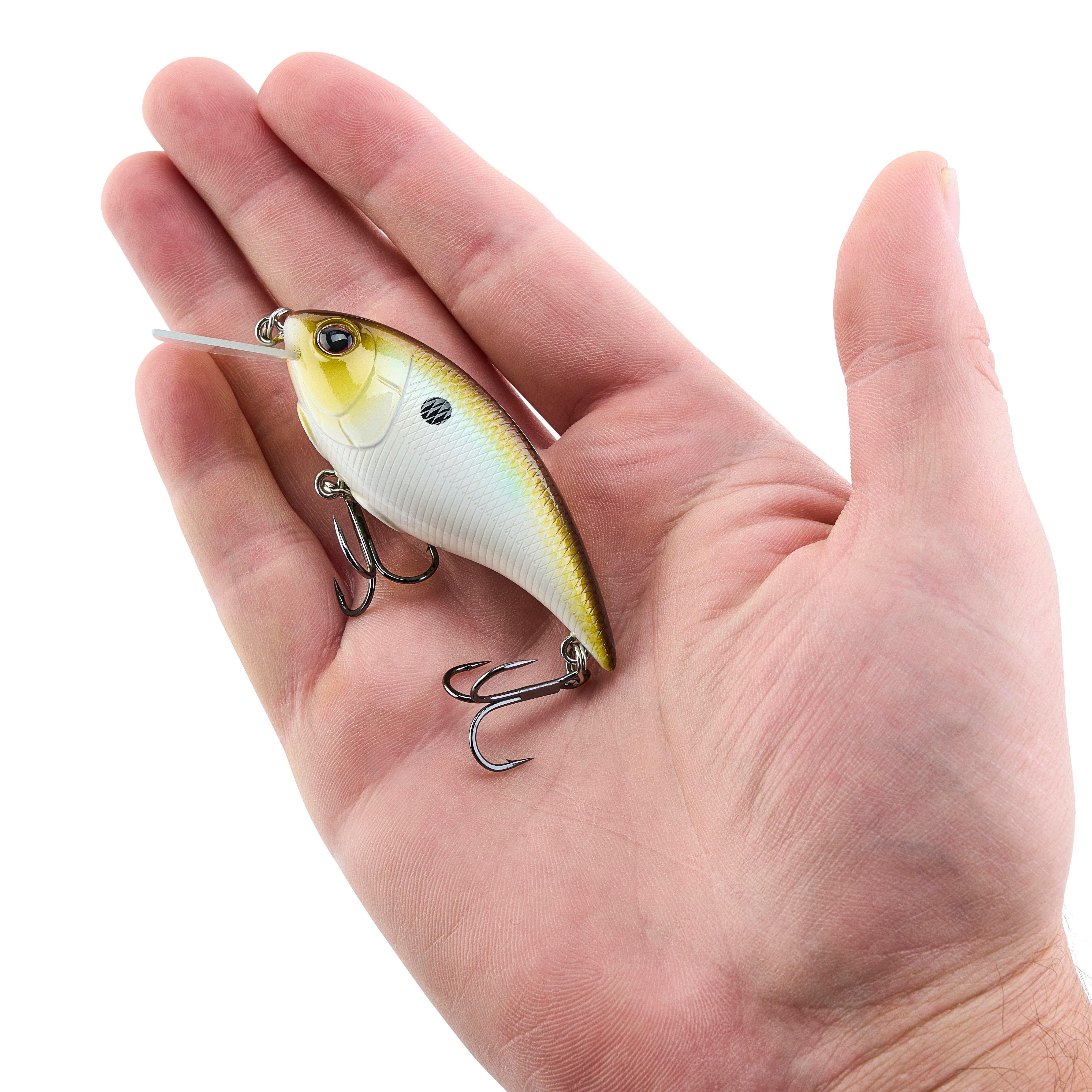 Berkley Shallow Money Badger Fishing Crankbait, 2.75 in, Hybrid Baitfish-Crayfish