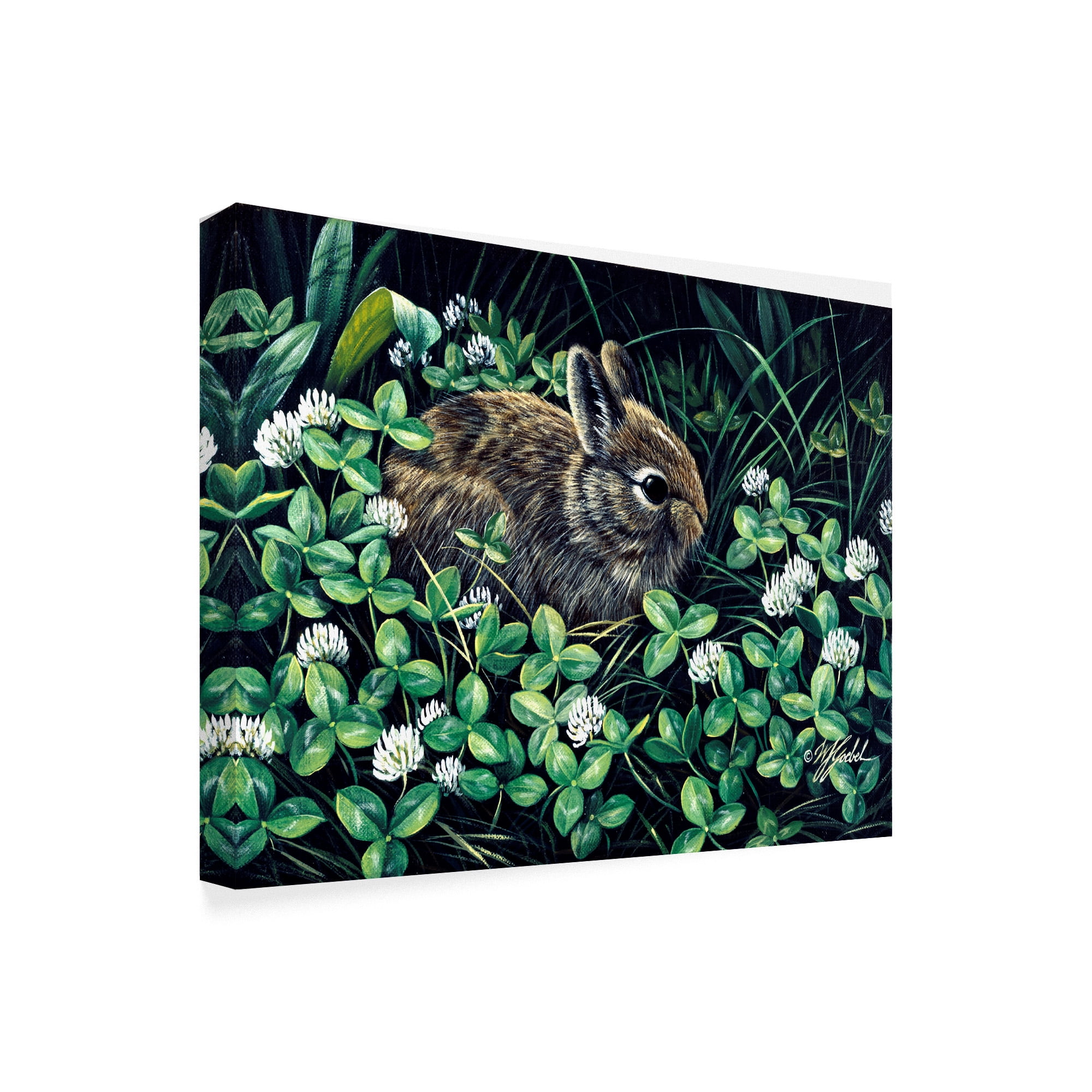 Trademark Fine Art 'In Clover' Canvas Art by Wilhelm Goebel