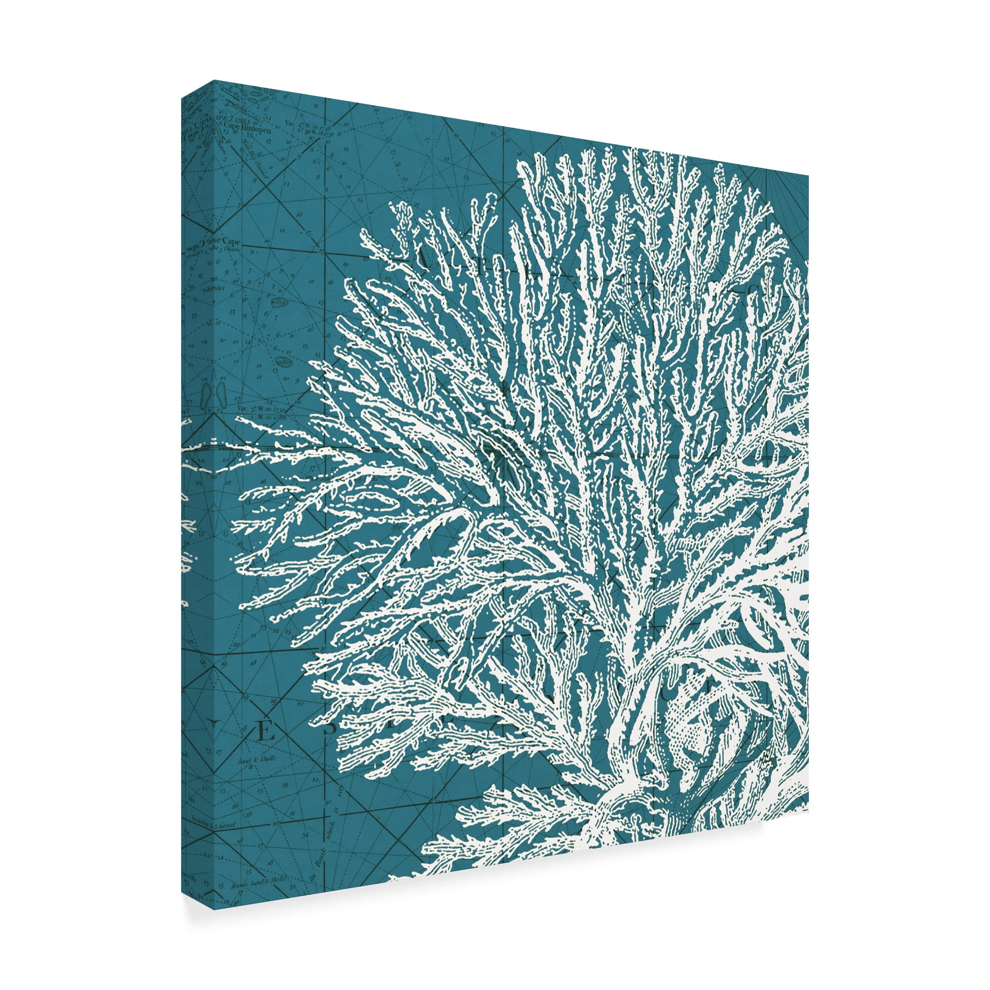Trademark Fine Art 'Coastal Menagerie I' Canvas Art by Vision Studio