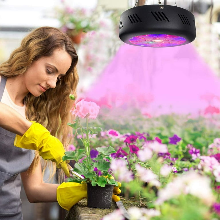 Growstar UFO150W Full Spectrum LED Grow Plant Light High Par Value Cree COB and Switch for Indoor Plants Bloom Flowering and Growing -