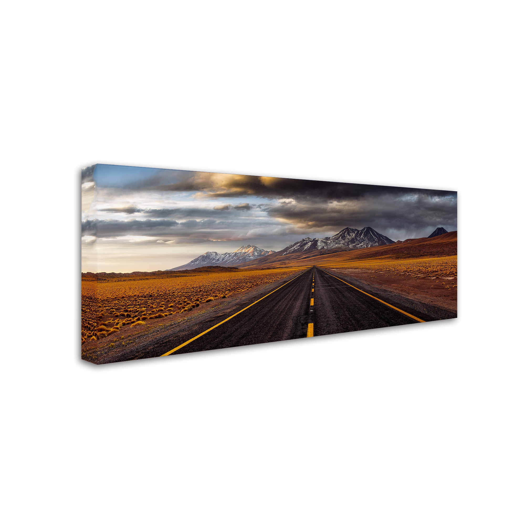 Trademark Fine Art 'Yellow Road' Canvas Art by Adhemar Duro