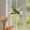 suction cup perch Under $5 a4, variant on Werulen Small Suction Cup Rope Perch Stand, Parrot Standing Support Pole, Pet Bird Cage Accessory, Portable Standing Pole, Household Pet Supply